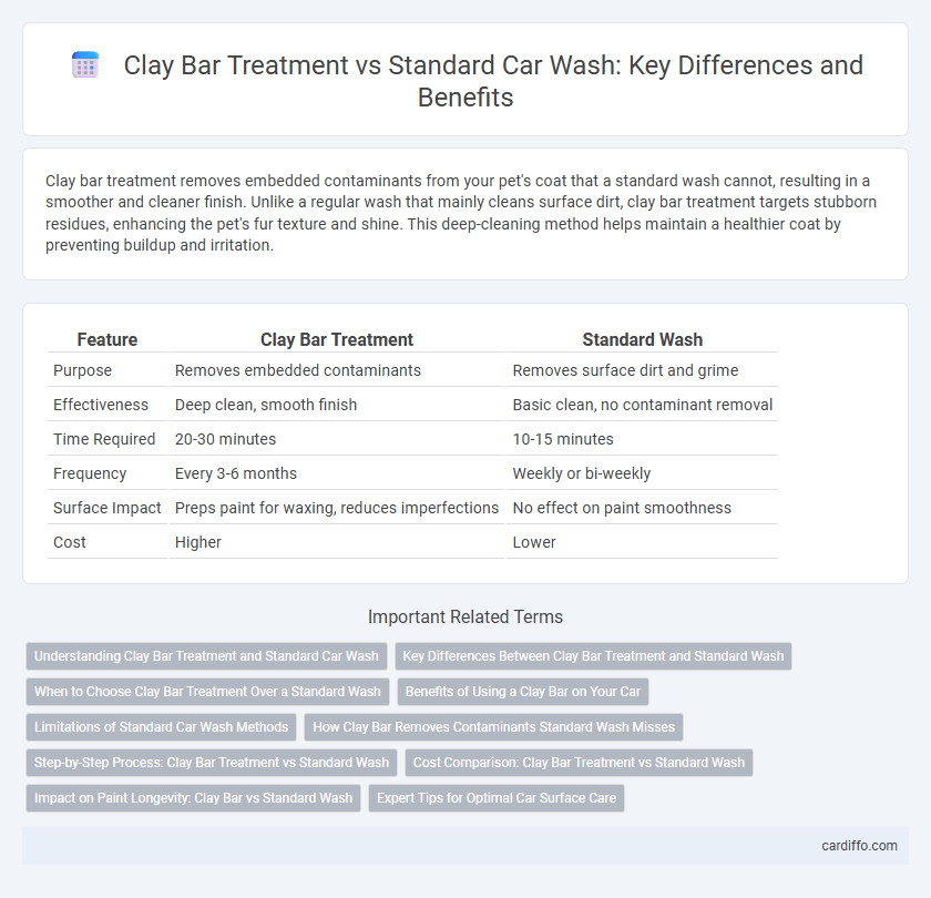 Clay Bar Treatment vs Standard Car Wash: Key Differences and Benefits