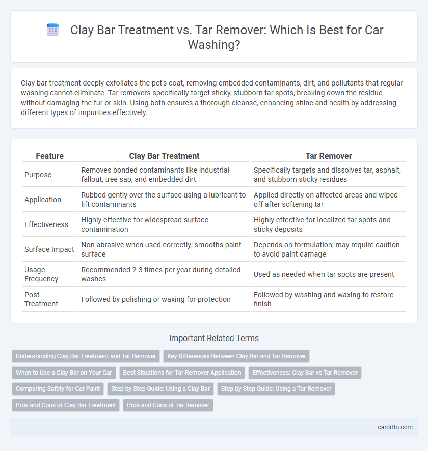 Clay Bar Treatment vs. Tar Remover: Which Is Best for Car Washing?