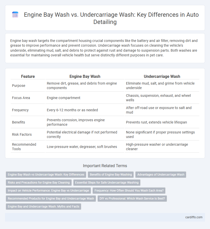 Engine Bay Wash vs. Undercarriage Wash: Key Differences in Auto Detailing