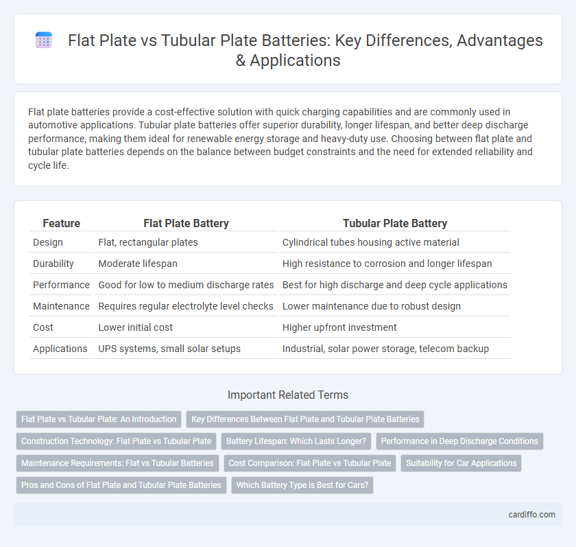 Flat Plate vs Tubular Plate Batteries: Key Differences, Advantages & Applications