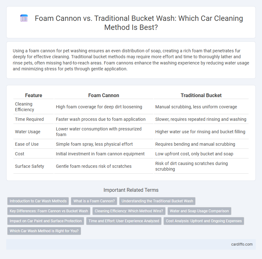 Foam Cannon vs. Traditional Bucket Wash: Which Car Cleaning Method Is Best?