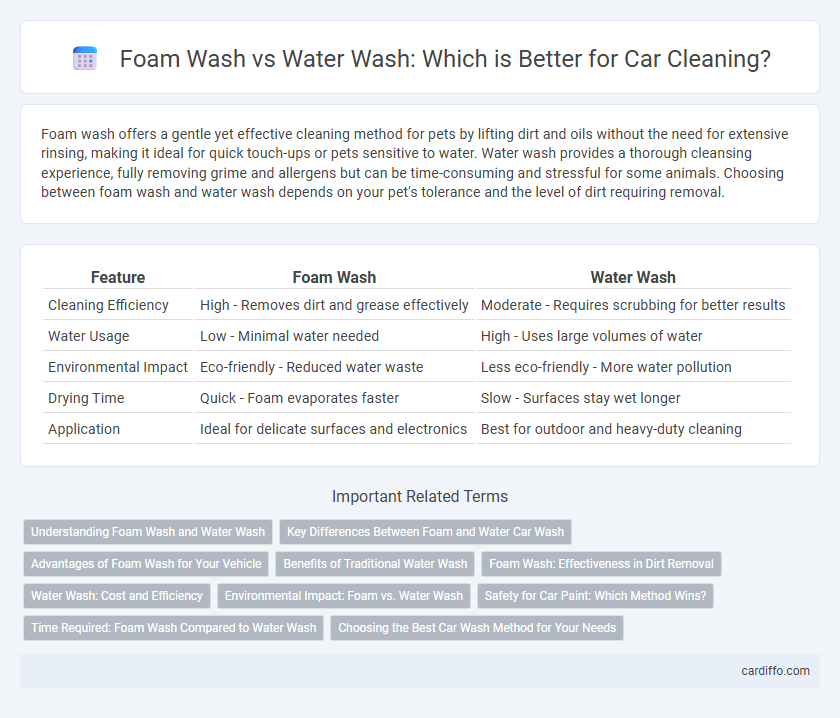 Foam Wash vs Water Wash: Which is Better for Car Cleaning?