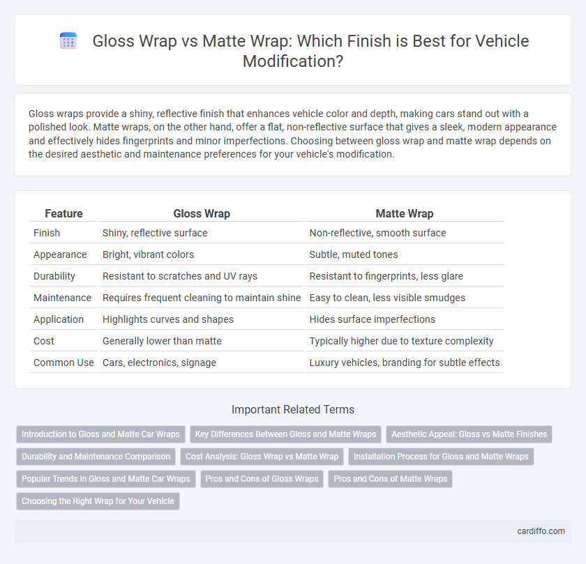Gloss Wrap vs Matte Wrap: Which Finish is Best for Vehicle Modification?