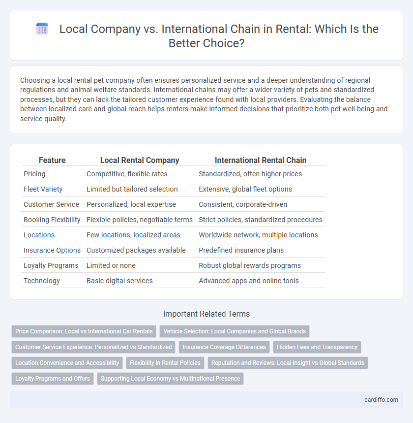 Local Company vs. International Chain in Rental: Which Is the Better Choice?