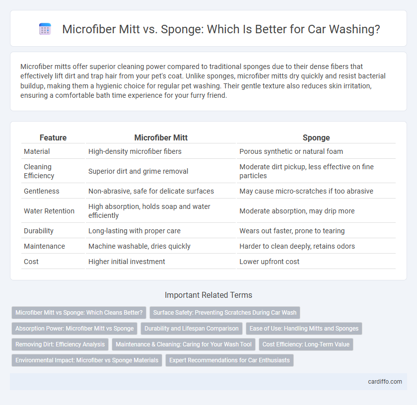 Microfiber Mitt vs. Sponge: Which Is Better for Car Washing?