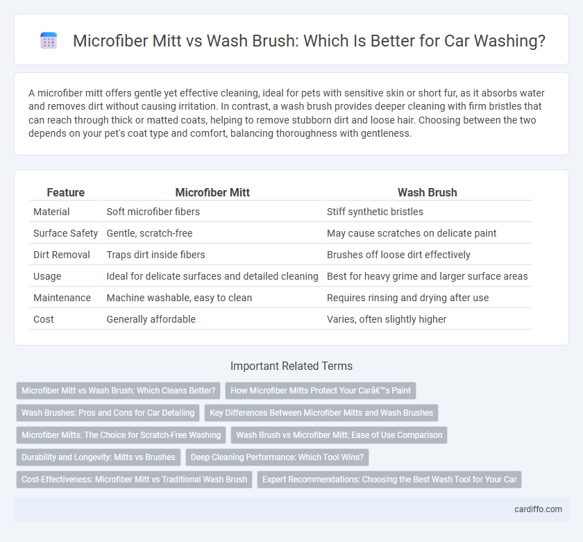 Microfiber Mitt vs Wash Brush: Which Is Better for Car Washing?