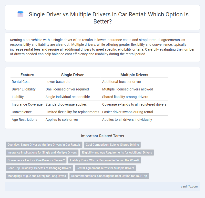 Single Driver vs Multiple Drivers in Car Rental: Which Option is Better?