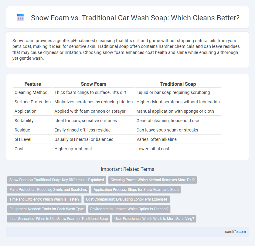 Snow Foam vs. Traditional Car Wash Soap: Which Cleans Better?