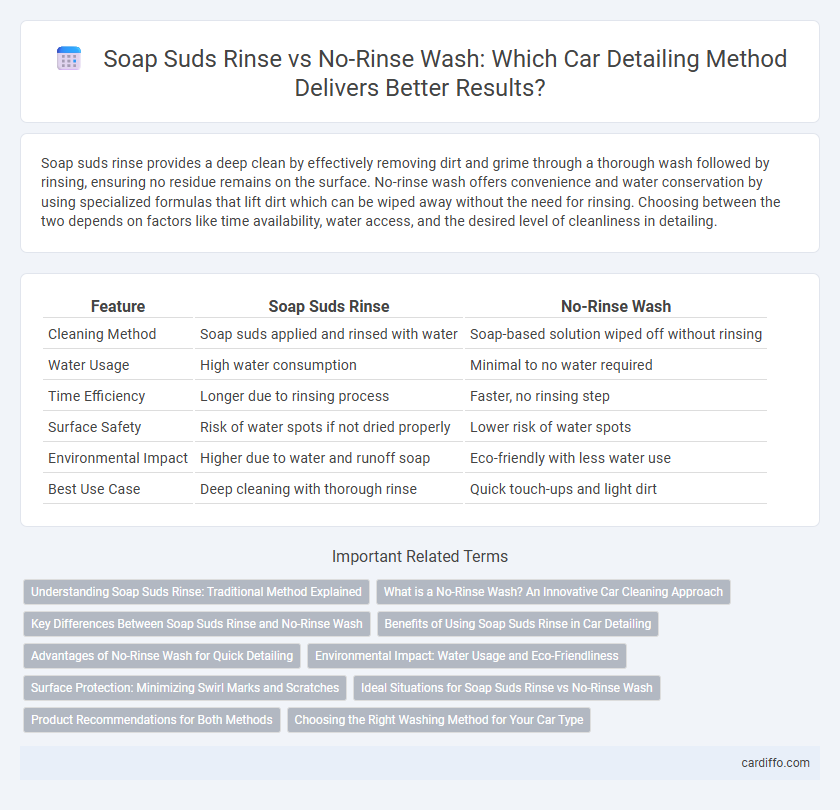 Soap Suds Rinse vs No-Rinse Wash: Which Car Detailing Method Delivers Better Results?