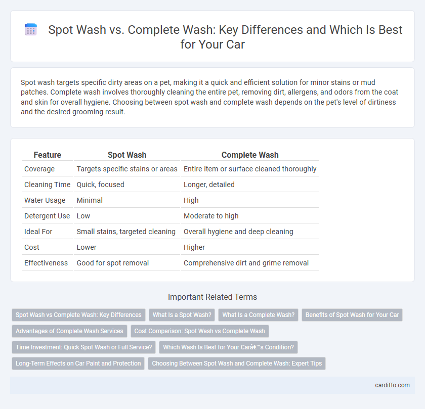 Spot Wash vs. Complete Wash: Key Differences and Which Is Best for Your Car