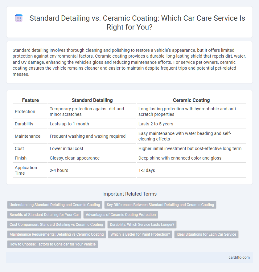 Standard Detailing vs. Ceramic Coating: Which Car Care Service Is Right for You?