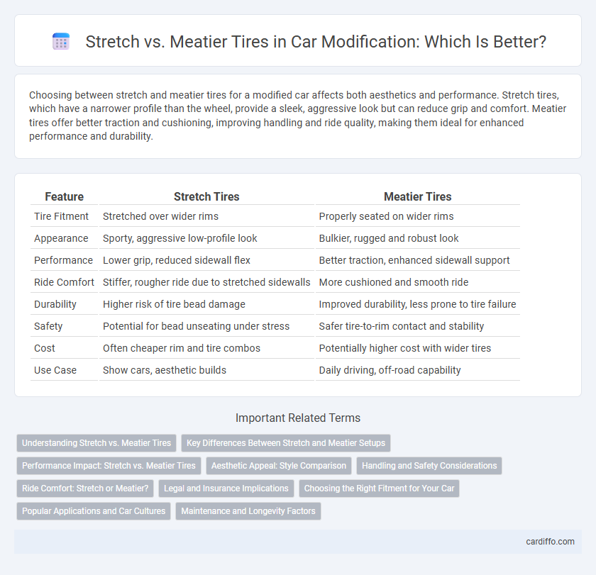 Stretch vs. Meatier Tires in Car Modification: Which Is Better?