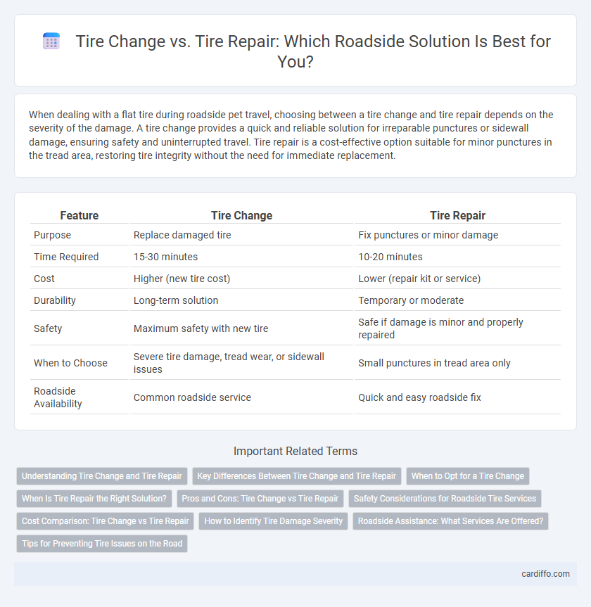 Tire Change vs. Tire Repair: Which Roadside Solution Is Best for You?