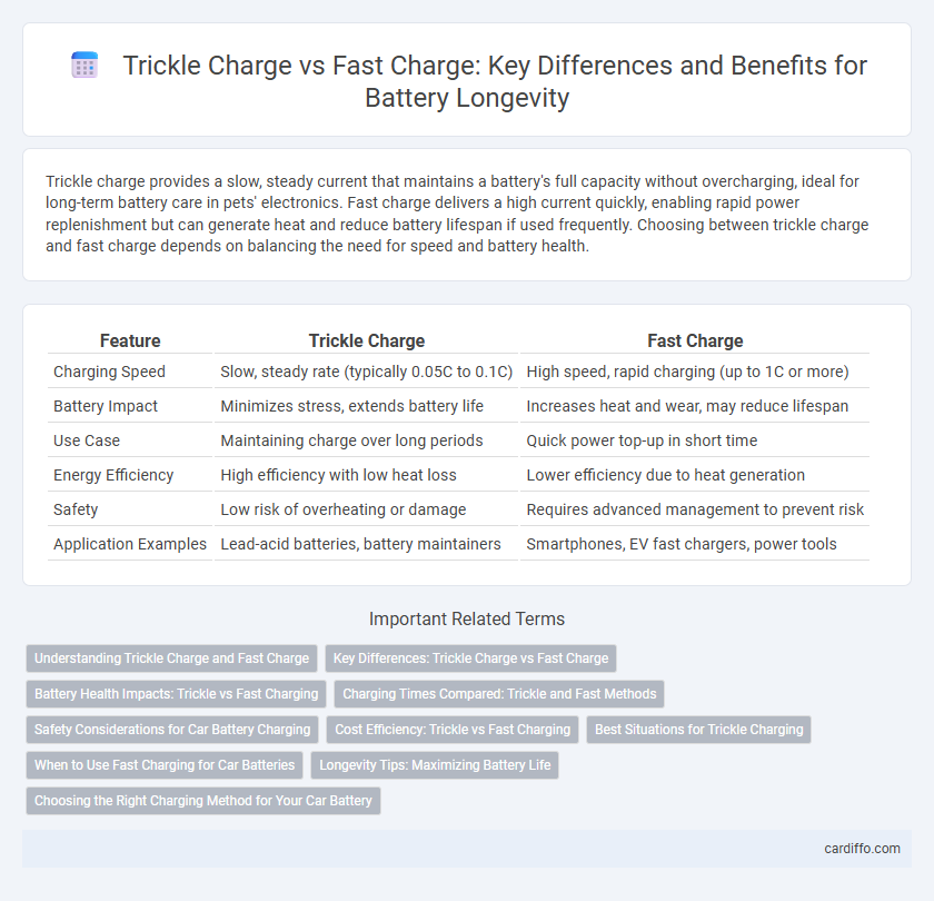 Trickle Charge vs Fast Charge: Key Differences and Benefits for Battery Longevity