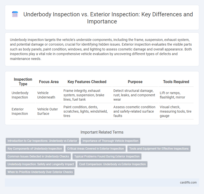 Underbody Inspection vs. Exterior Inspection: Key Differences and Importance