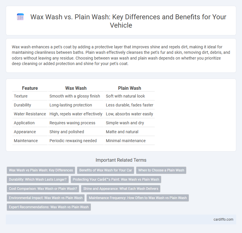 Wax Wash vs. Plain Wash: Key Differences and Benefits for Your Vehicle