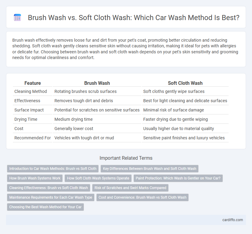 Brush Wash vs. Soft Cloth Wash: Which Car Wash Method Is Best?