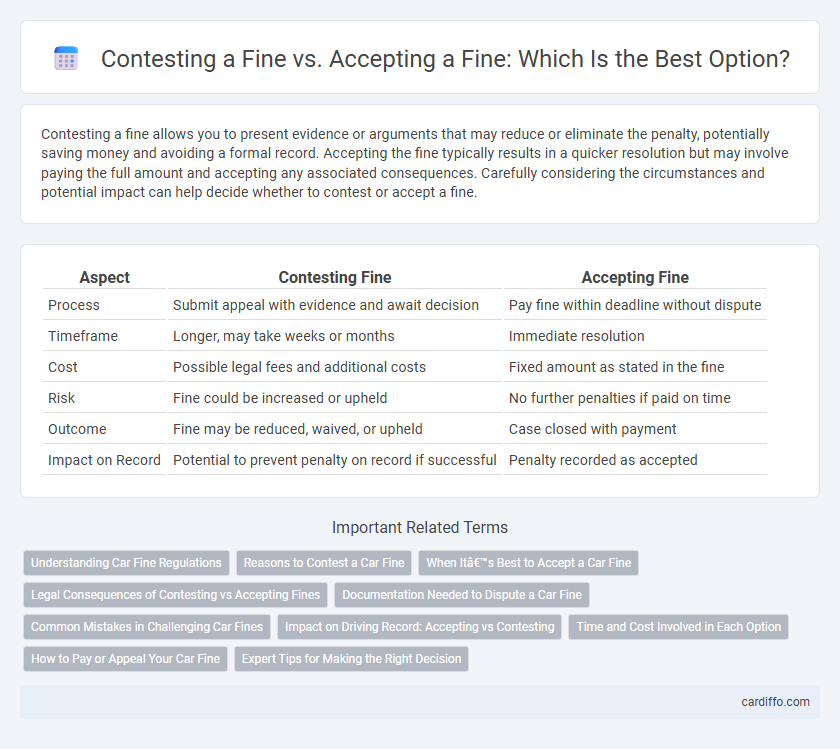 Contesting a Fine vs. Accepting a Fine: Which Is the Best Option?