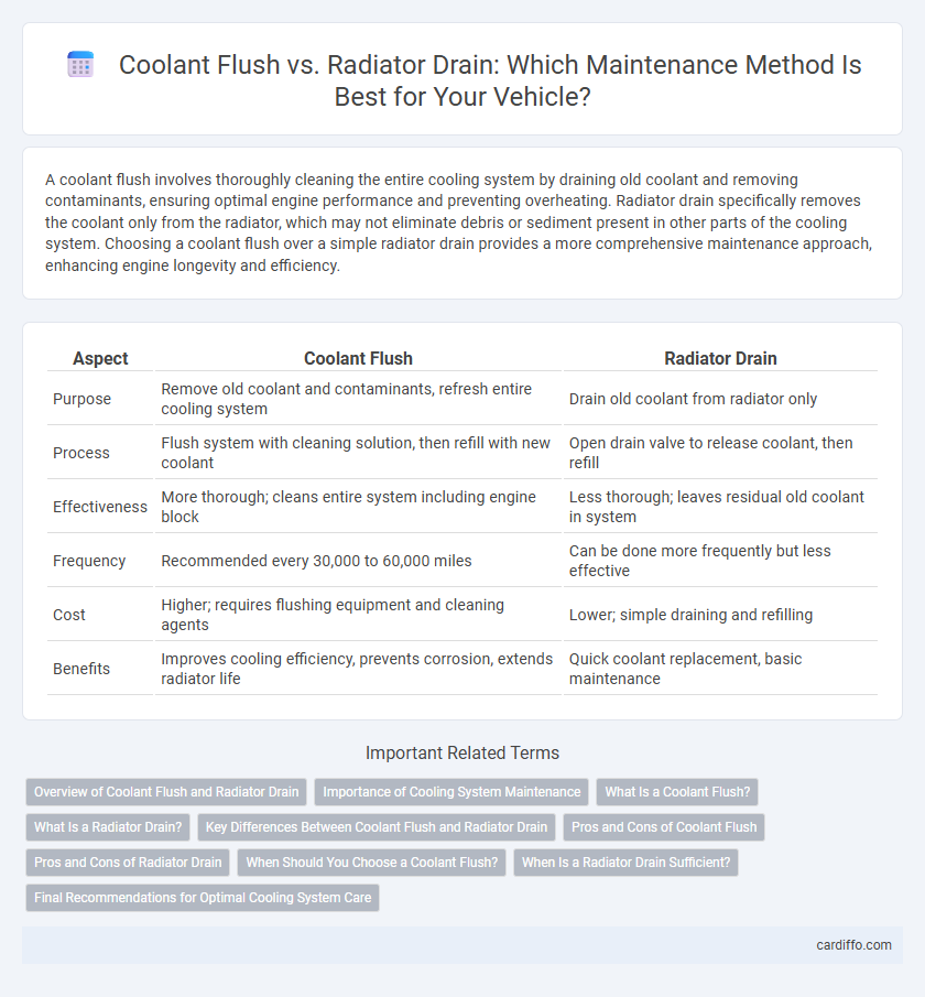 Coolant Flush vs. Radiator Drain: Which Maintenance Method Is Best for Your Vehicle?