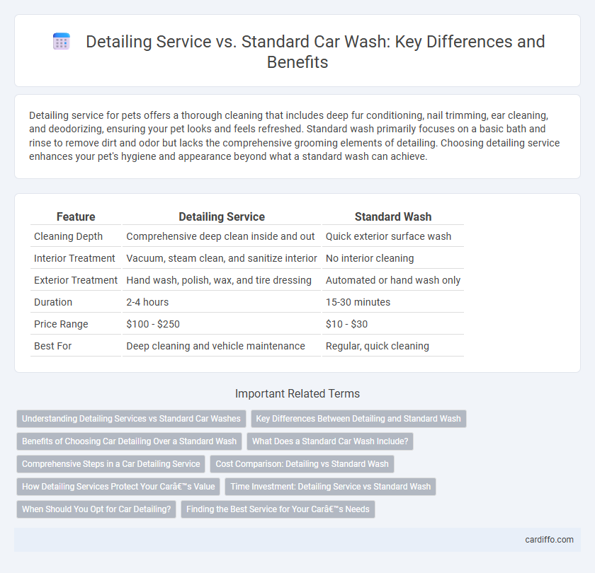 Detailing Service vs. Standard Car Wash: Key Differences and Benefits