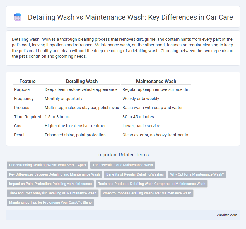 Detailing Wash vs Maintenance Wash: Key Differences in Car Care