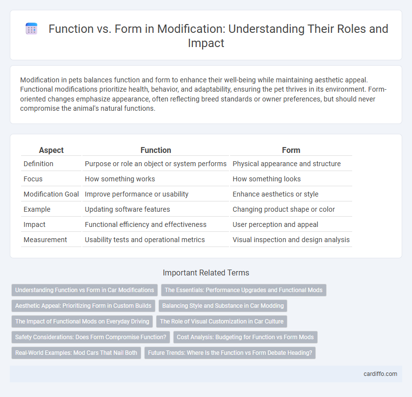 Function vs. Form in Modification: Understanding Their Roles and Impact