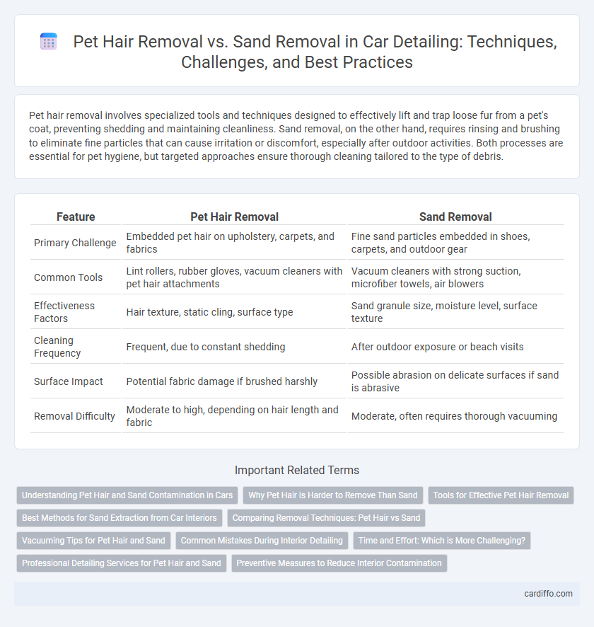 Pet Hair Removal vs. Sand Removal in Car Detailing: Techniques, Challenges, and Best Practices