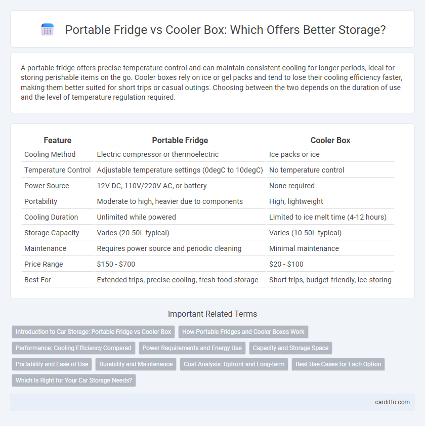 Portable Fridge vs Cooler Box: Which Offers Better Storage?