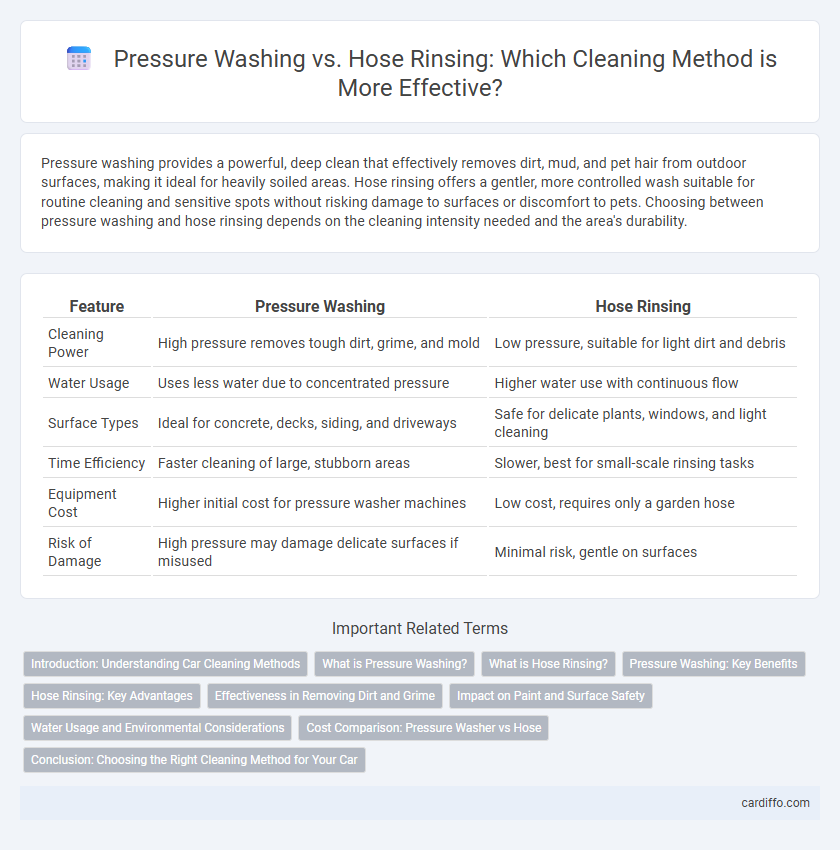 Pressure Washing vs. Hose Rinsing: Which Cleaning Method is More Effective?