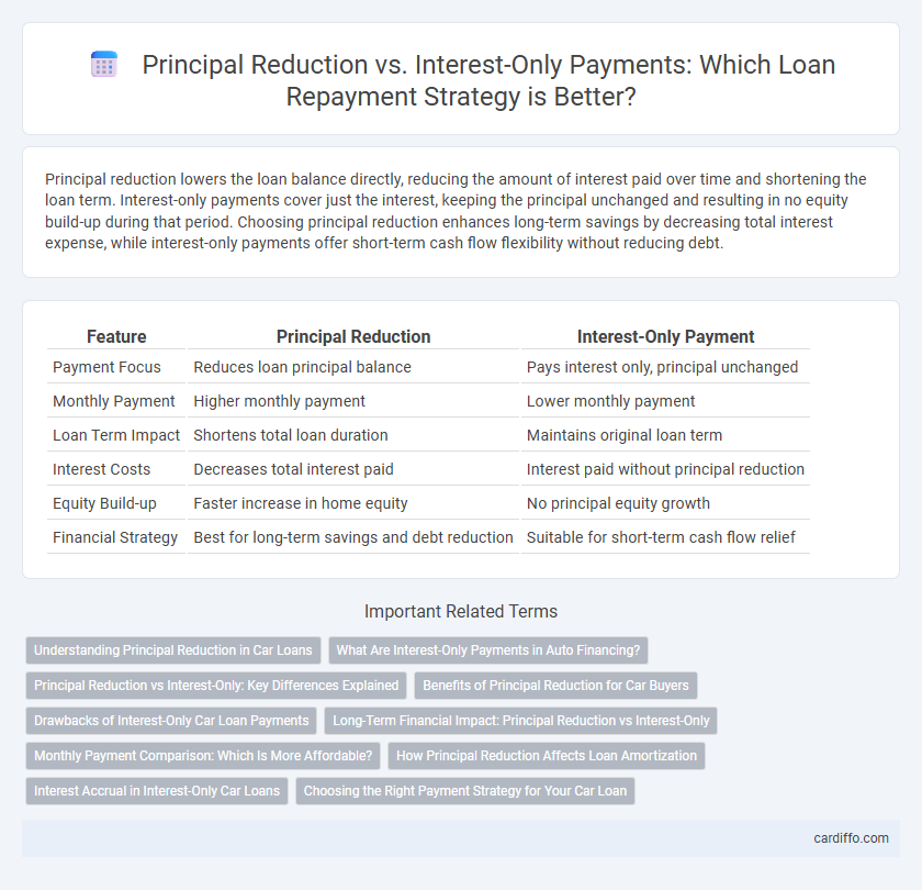 Principal Reduction vs. Interest-Only Payments: Which Loan Repayment Strategy is Better?