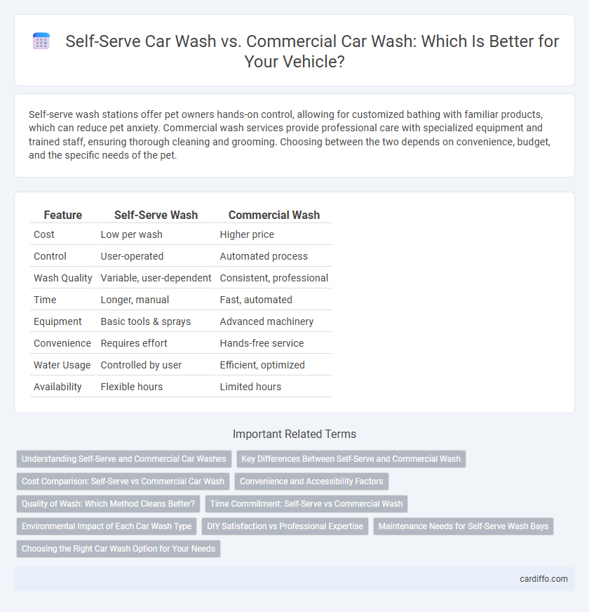 Self-Serve Car Wash vs. Commercial Car Wash: Which Is Better for Your Vehicle?