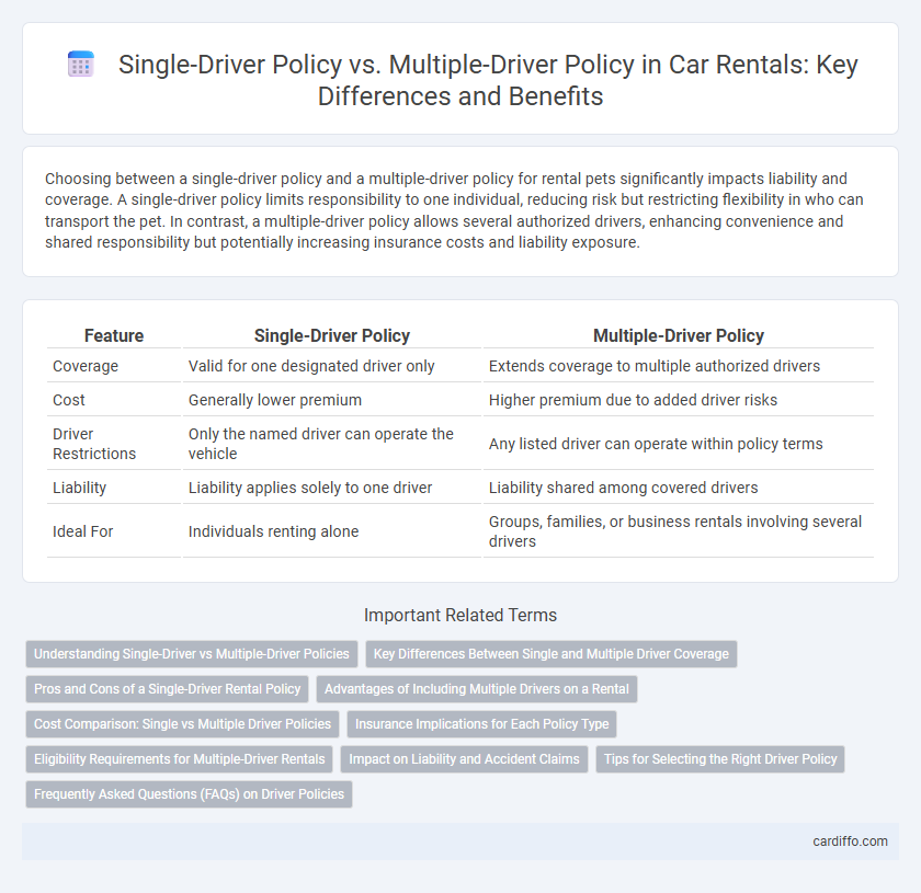 Single-Driver Policy vs. Multiple-Driver Policy in Car Rentals: Key Differences and Benefits