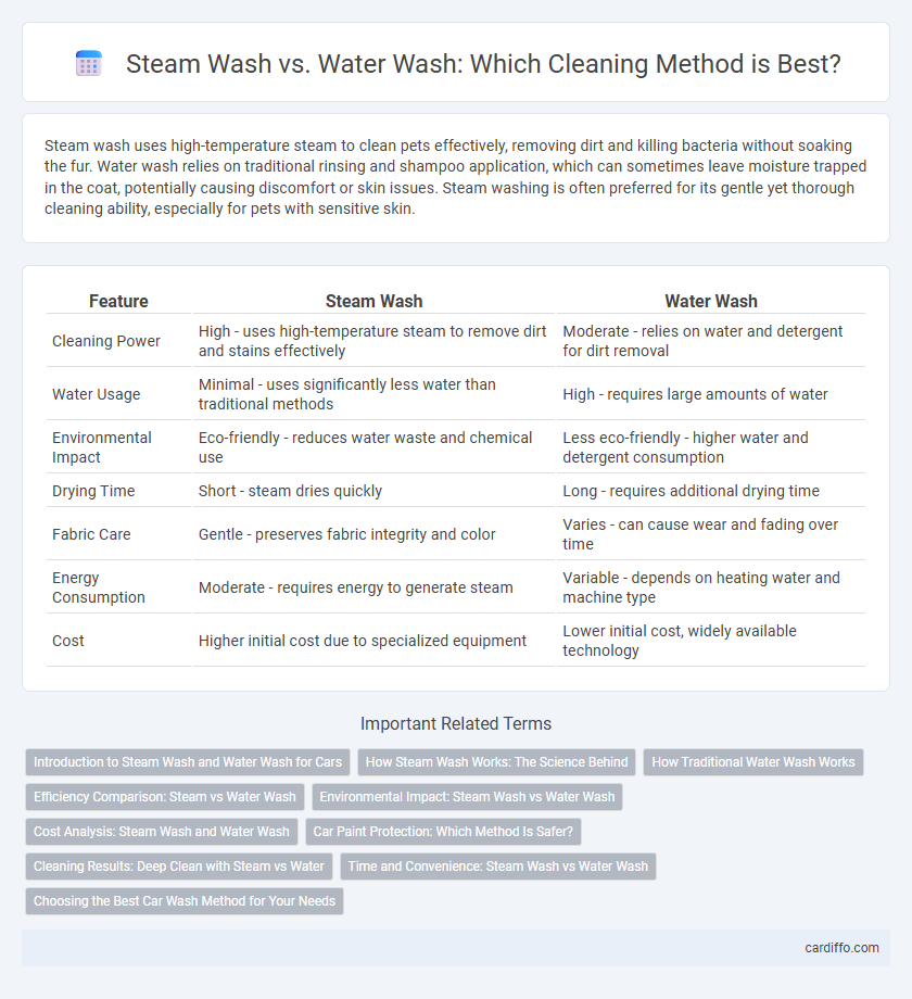 Steam Wash vs. Water Wash: Which Cleaning Method is Best?