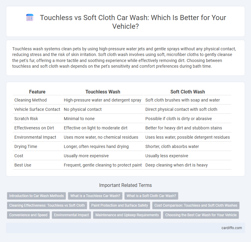 Touchless vs Soft Cloth Car Wash: Which Is Better for Your Vehicle?