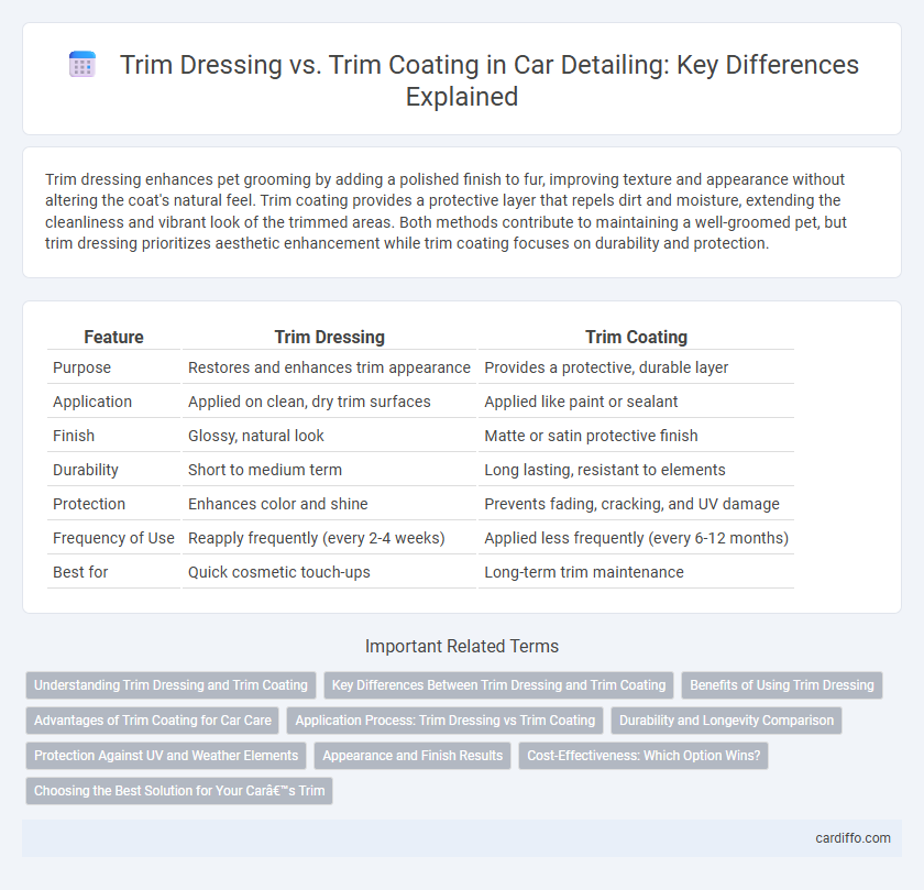 Trim Dressing vs. Trim Coating in Car Detailing: Key Differences Explained