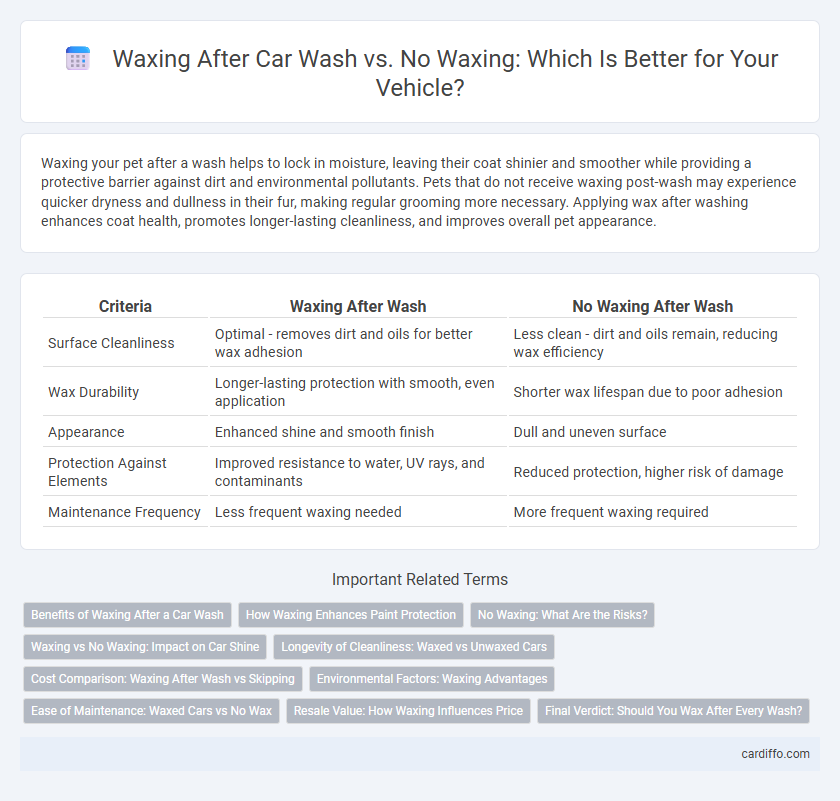 Waxing After Car Wash vs. No Waxing: Which Is Better for Your Vehicle?