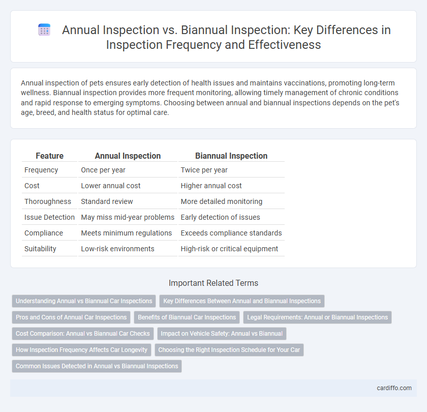 Annual Inspection vs. Biannual Inspection: Key Differences in Inspection Frequency and Effectiveness