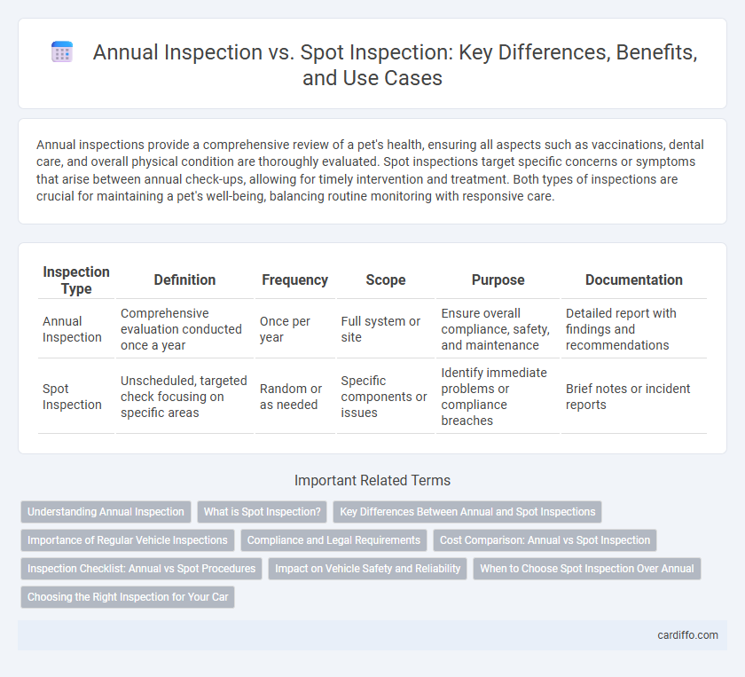 Annual Inspection vs. Spot Inspection: Key Differences, Benefits, and Use Cases