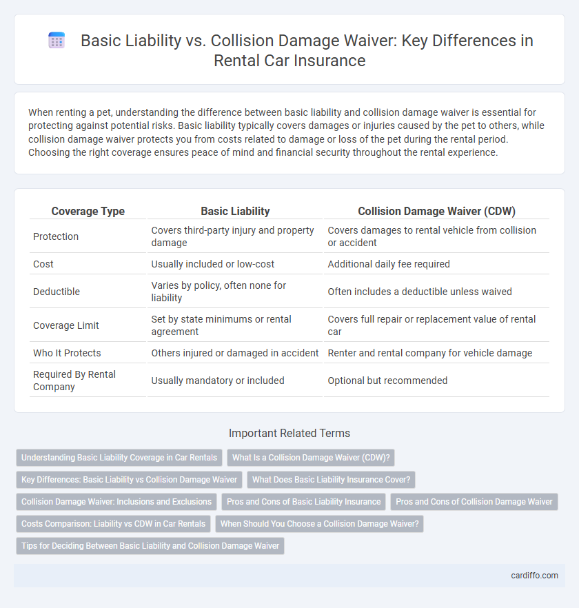 Basic Liability vs. Collision Damage Waiver: Key Differences in Rental Car Insurance