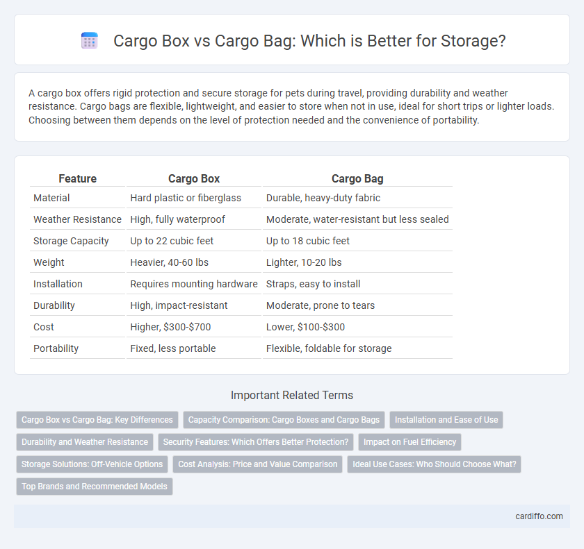 Cargo Box vs Cargo Bag: Which is Better for Storage?
