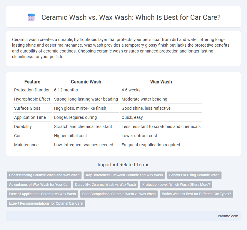 Ceramic Wash vs. Wax Wash: Which Is Best for Car Care?