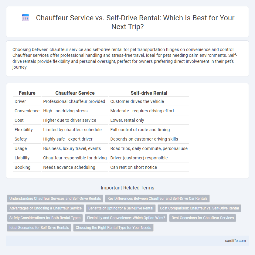 Chauffeur Service vs. Self-Drive Rental: Which Is Best for Your Next Trip?