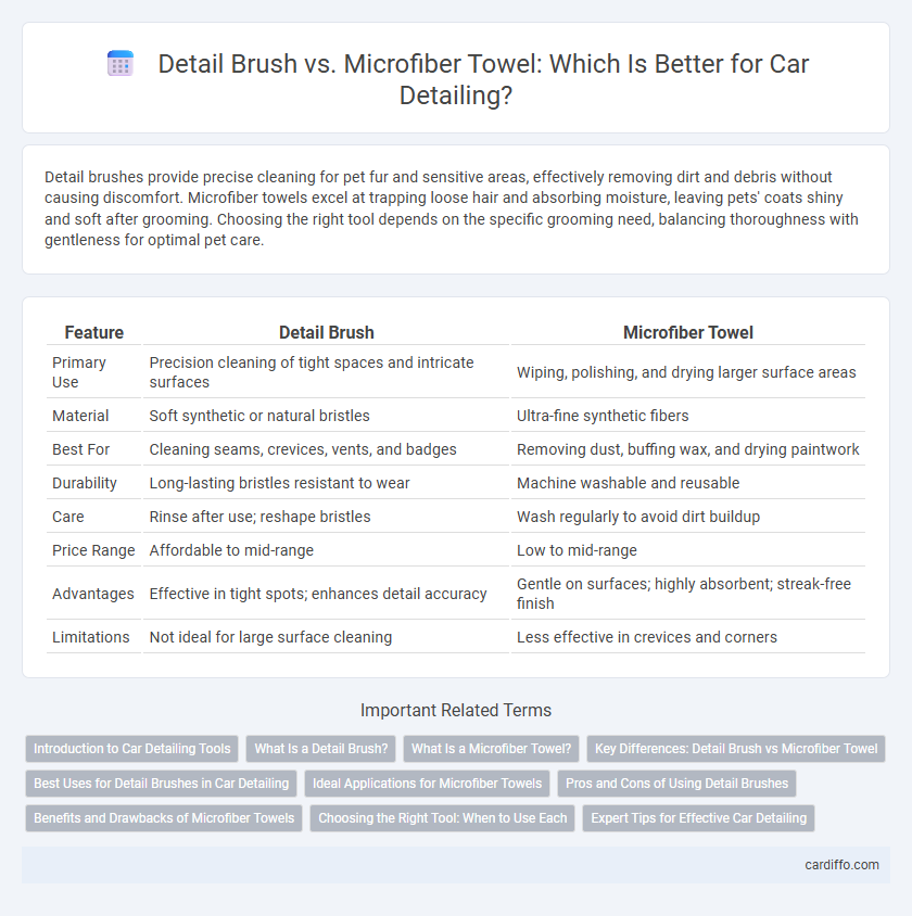 Detail Brush vs. Microfiber Towel: Which Is Better for Car Detailing?