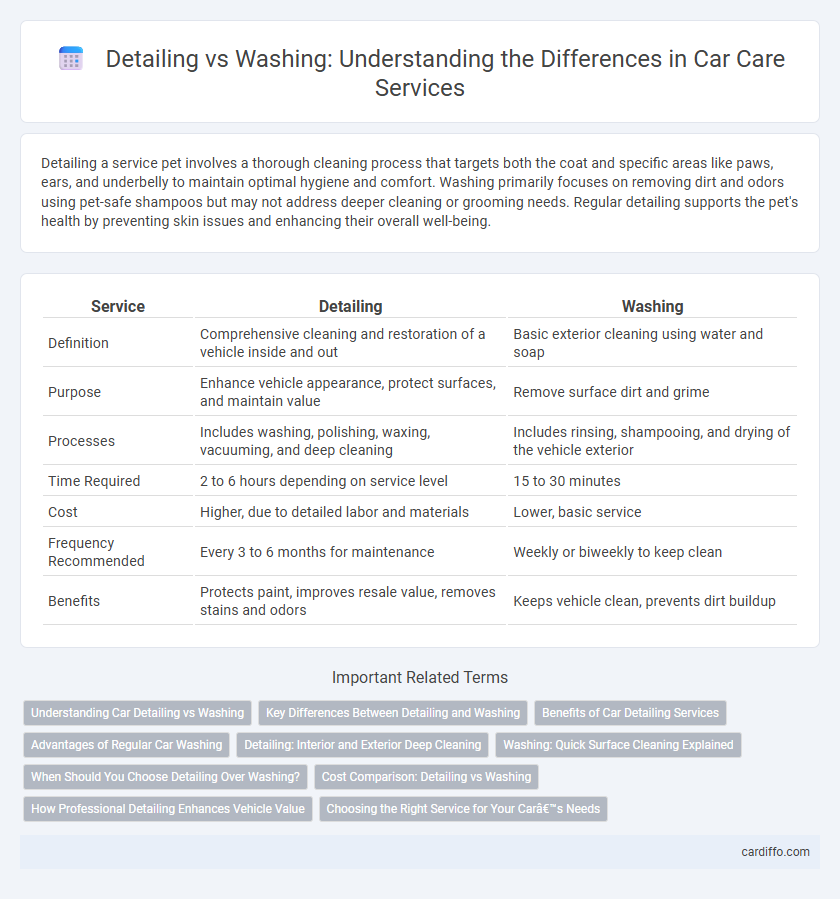 Detailing vs Washing: Understanding the Differences in Car Care Services