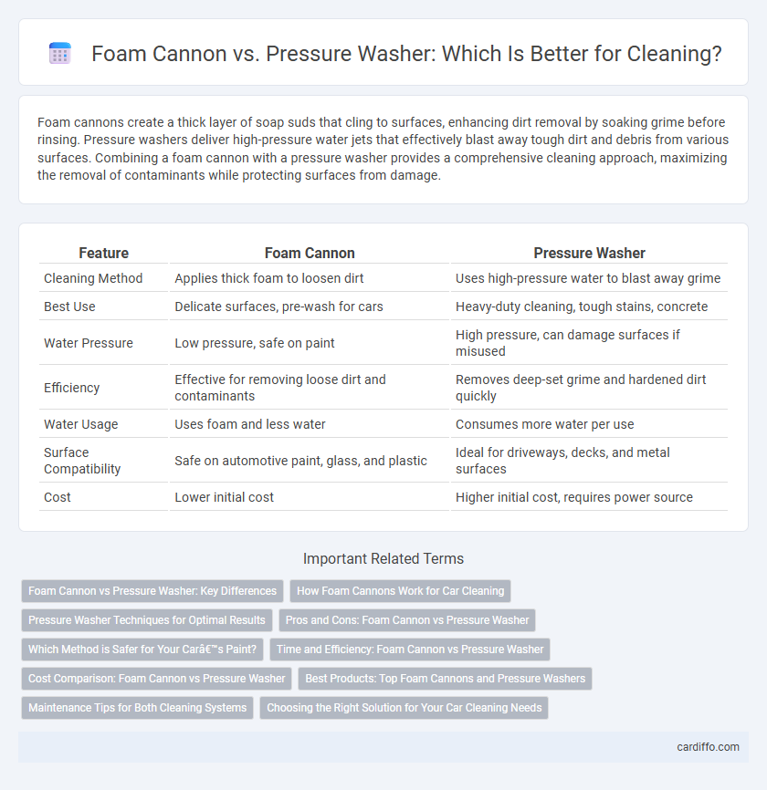 Foam Cannon vs. Pressure Washer: Which Is Better for Cleaning?