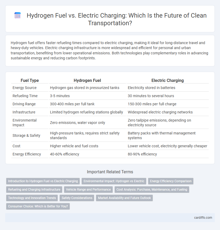 Hydrogen Fuel vs. Electric Charging: Which Is the Future of Clean Transportation?