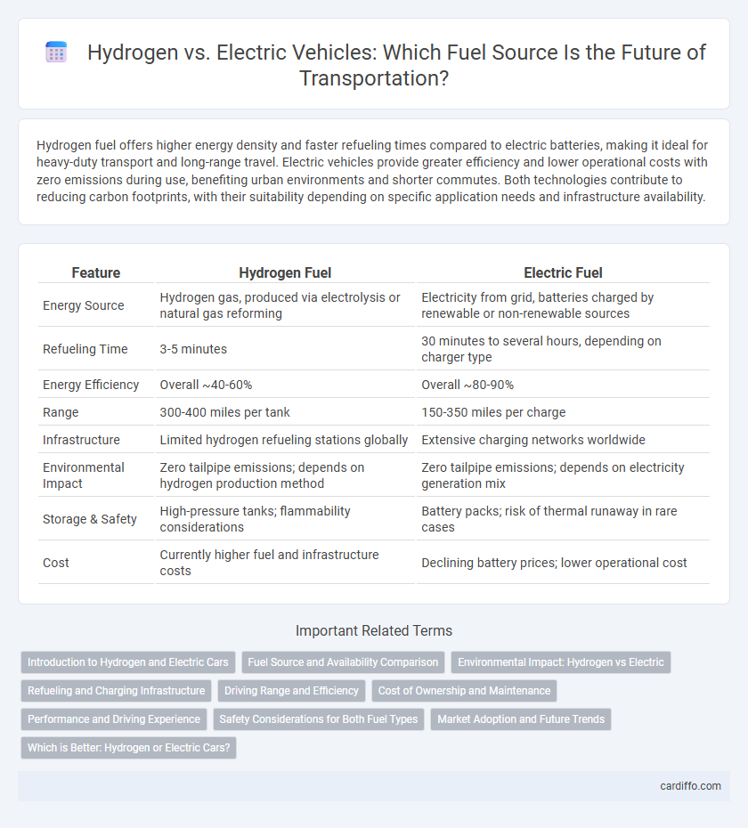 Hydrogen vs. Electric Vehicles: Which Fuel Source Is the Future of Transportation?
