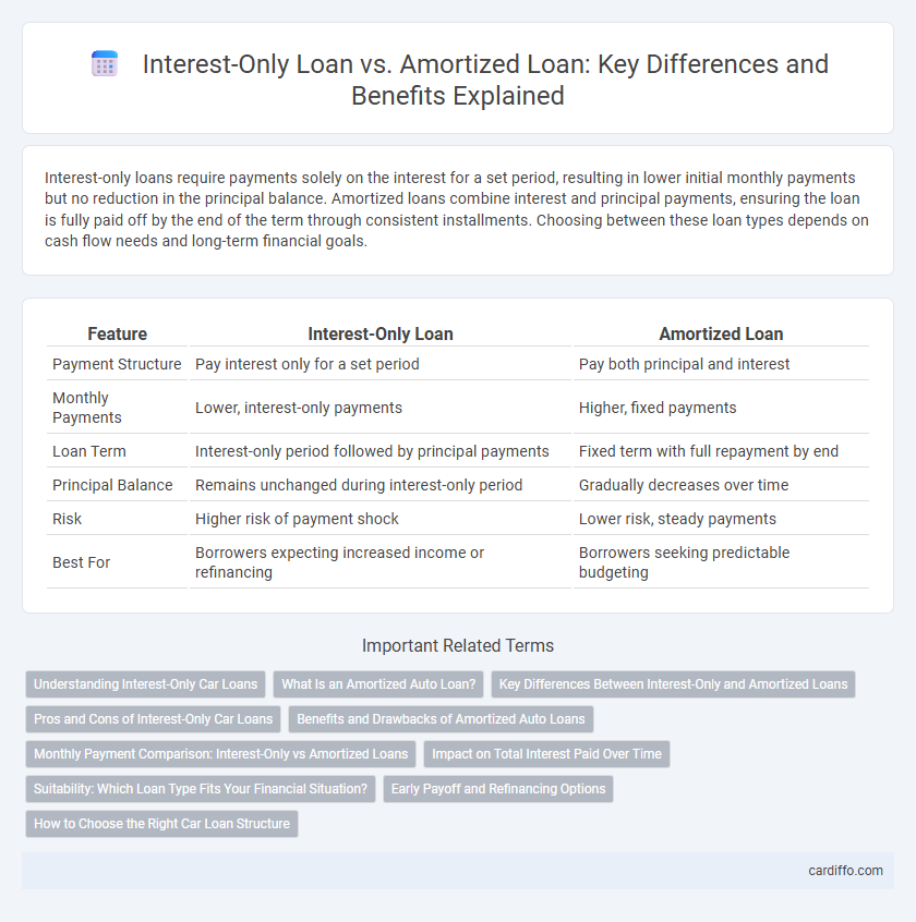 Interest-Only Loan vs. Amortized Loan: Key Differences and Benefits Explained