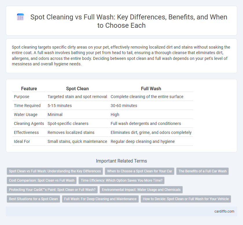 Spot Cleaning vs Full Wash: Key Differences, Benefits, and When to Choose Each