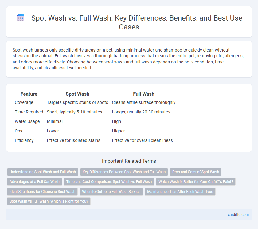 Spot Wash vs. Full Wash: Key Differences, Benefits, and Best Use Cases
